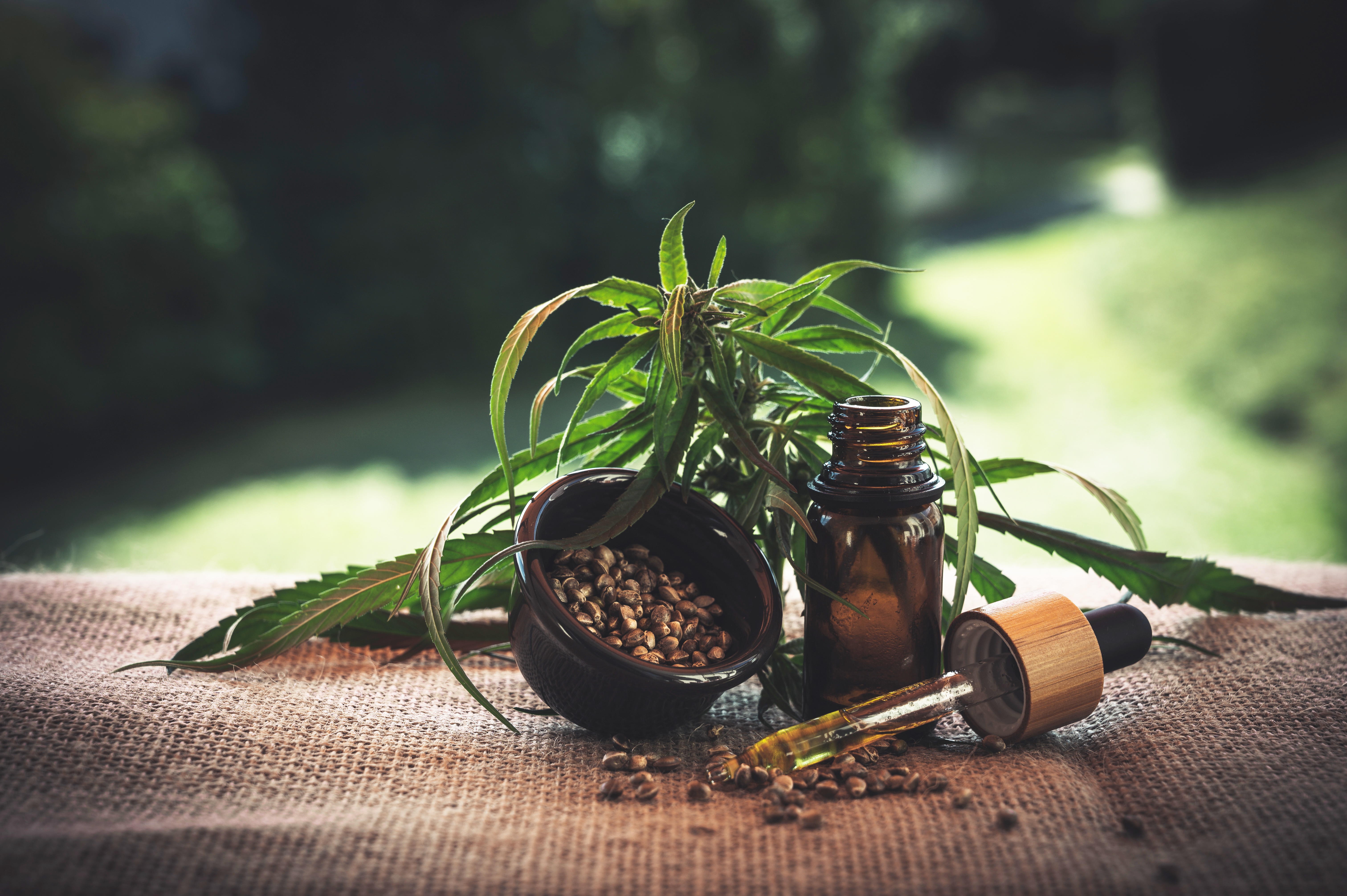 Hemp & CBD Products